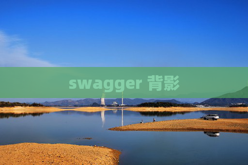 swagger 背影